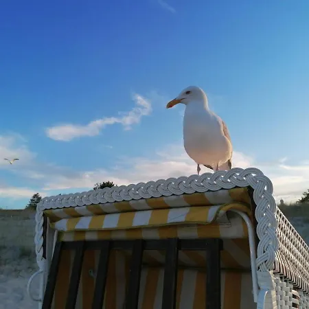 Haus Auf Der Hoehe - Neuhof *