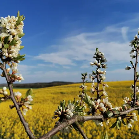 Haus Auf Der Höhe - Neuhof *